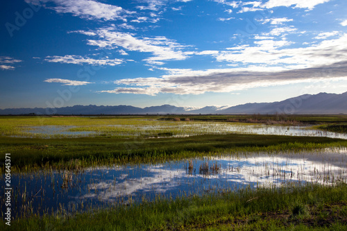 Clouds reflected at dawn in the marsh at Alamosa National Wildlife Refuge in southern Colorado  with the Sangre de Cristo range of the Rocky Mountains in the background