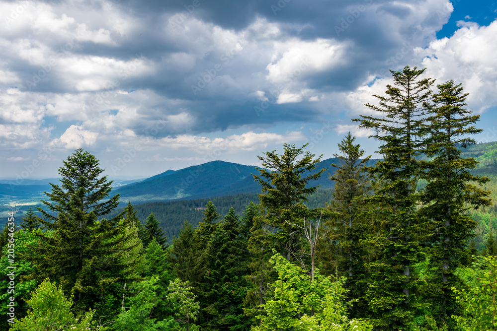 Blick vom Berg in das Thal mit Wolken am Himmel und Bäume im Vordergrund im Bayerischen Wald