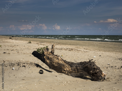 Ein alter Baumstamm liegt am Strand.