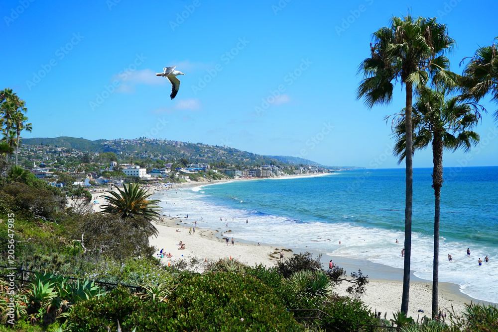 Laguna Beach - California