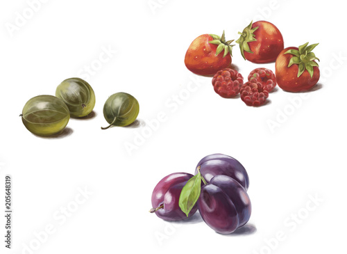 Fruits drawn, digital painting, strawberry, gooseberry, plum on white isolated background