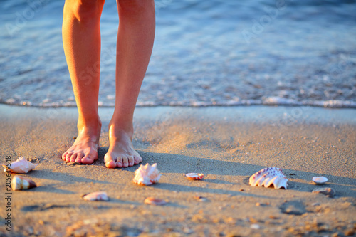 Seashells and woman feet in the sand on the sea beach