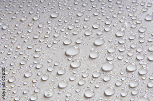 Water Drops on a White Background
