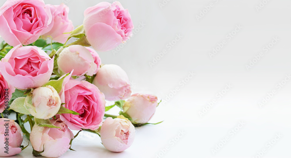 Beautiful background with pink roses Beautiful background with pink roses