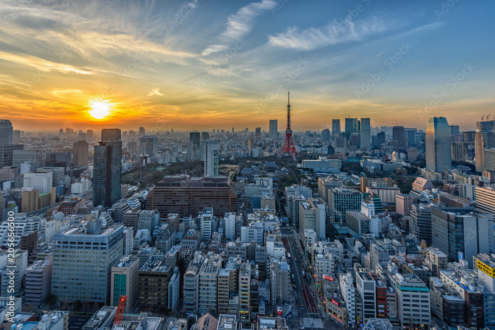Fototapeta Night view of Tokyo
