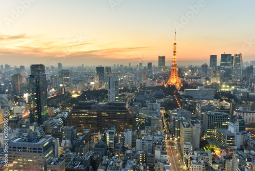 Night view of Tokyo © YourEyesOnly