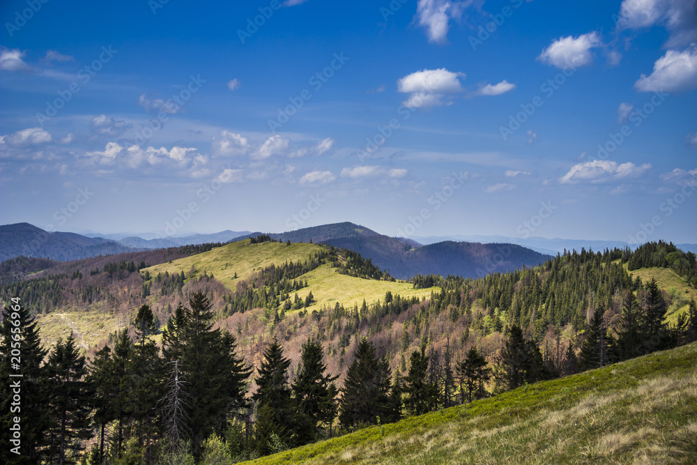 Fototapeta premium panorama of the Carpathian mountains, national park Skolevski beskidy, Lviv region of Western Ukraine