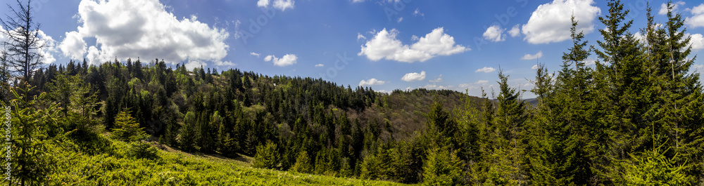 panorama of the Carpathian mountains, national park Skolevski beskidy, Lviv region of Western Ukraine panorama of the Carpathian mountains, national park Skolevski beskidy, Lviv region of Western Ukraine