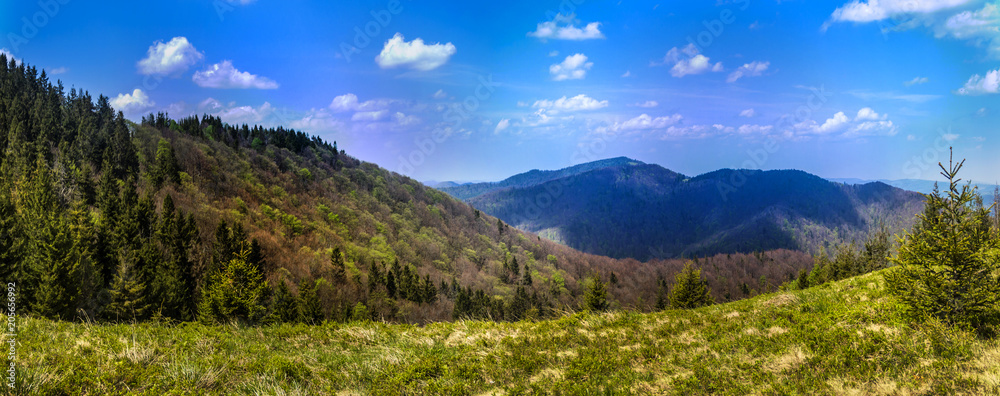 Obraz premium panorama of the Carpathian mountains, national park Skolevski beskidy, Lviv region of Western Ukraine