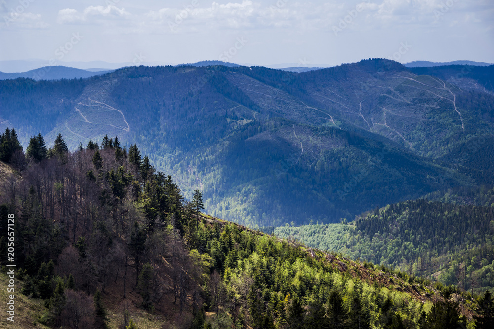 panorama of the Carpathian mountains, national park Skolevski beskidy, Lviv region of Western Ukraine