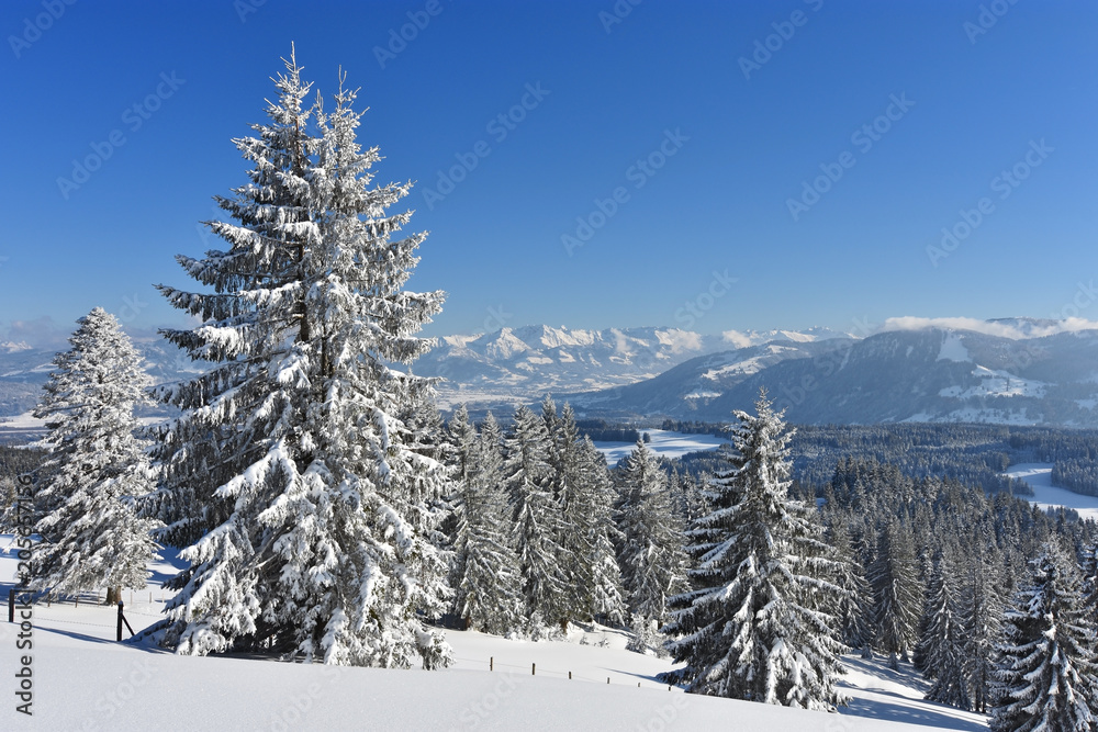 Snowy landscape at sunny day in winter. Allgäu Alps, Bavaria, Germany
