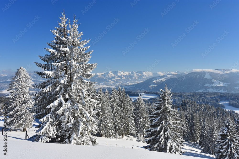 Snowy landscape at sunny day in winter. Allgäu Alps, Bavaria, Germany Snowy landscape at sunny day in winter. Allgäu Alps, Bavaria, Germany