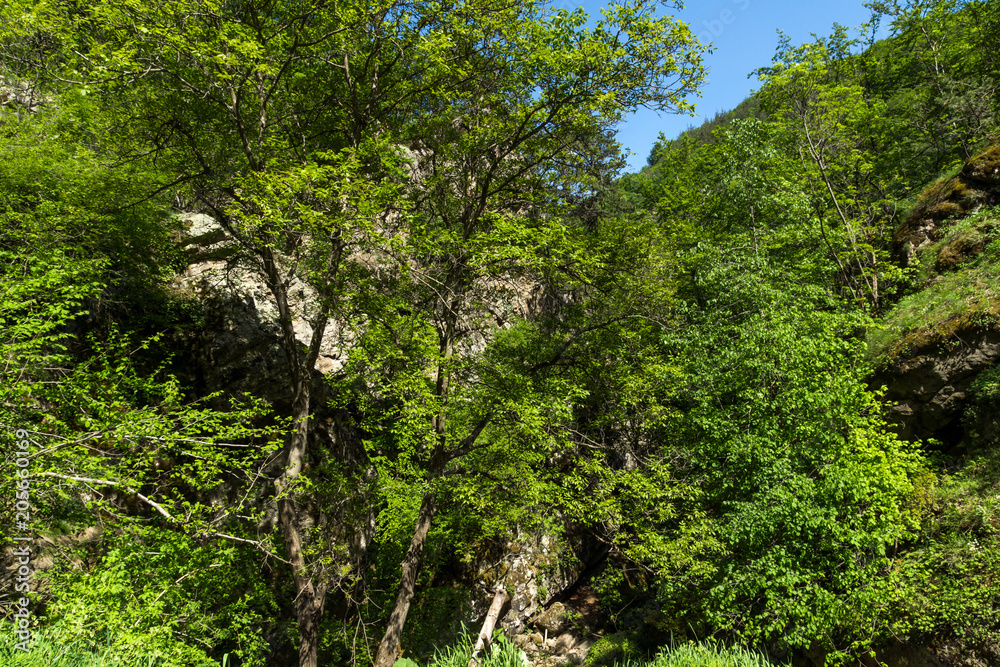 Amazing Landscape of Fotinovo waterfalls (Fotinski waterfall) in Rhodopes Mountain, Pazardzhik region, Bulgaria Amazing Landscape of Fotinovo waterfalls (Fotinski waterfall) in Rhodopes Mountain, Pazardzhik region, Bulgaria