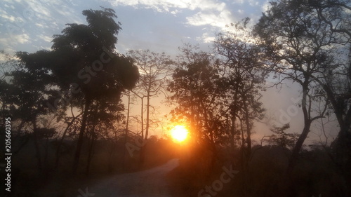 Landscape of Dooars, West Bengal