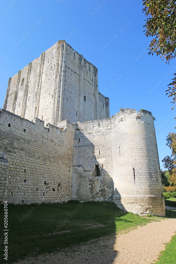 Loches Donjon and Keep