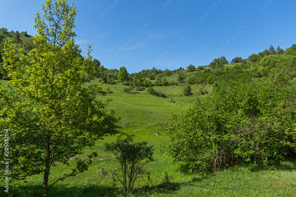 Amazing landscape of Green Hills near village of Fotinovo in Rhodopes Mountain, Pazardzhik region, Bulgaria