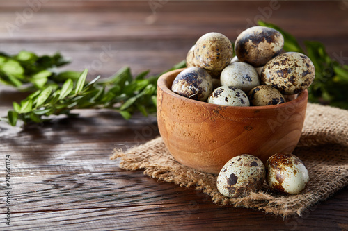 Bowl with eggs quail, eggs on a homespun napkin, boxwood on wooden background, close-up, selective focus photo