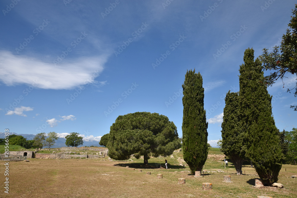 Forum romain sur le site antique d'Aléria en Corse
