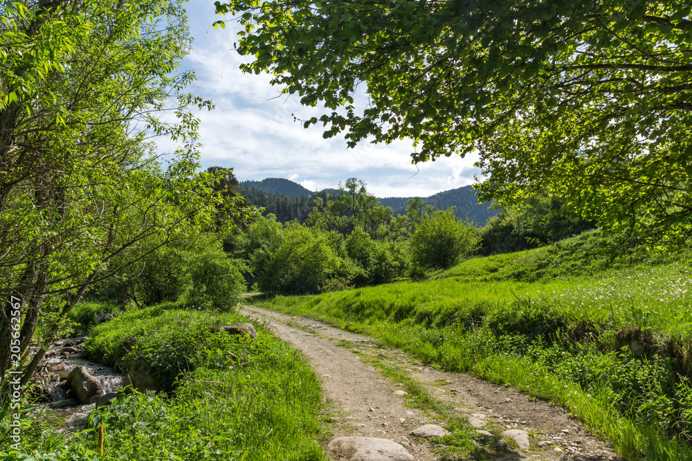 Amazing landscape of Green Hills near village of Fotinovo in Rhodopes Mountain, Pazardzhik region, Bulgaria Amazing landscape of Green Hills near village of Fotinovo in Rhodopes Mountain, Pazardzhik region, Bulgaria