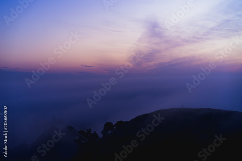 Purple must and fog during sunrise
