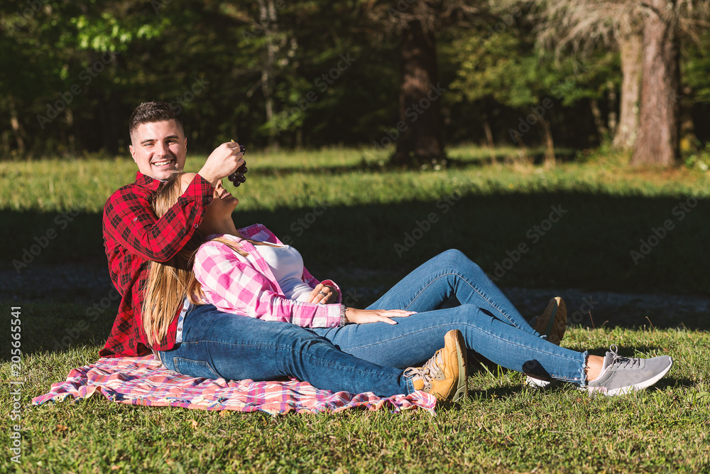 Fototapeta premium Couple having picnic at park