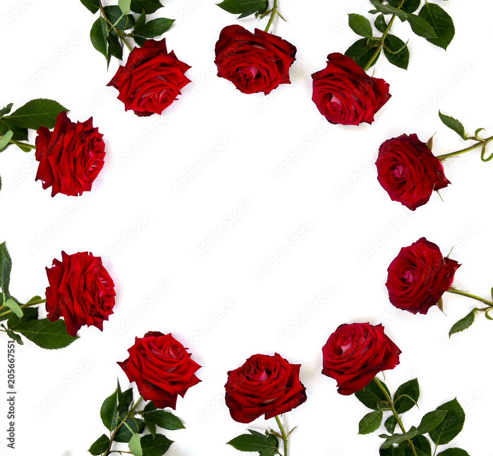 Naklejka premium Red roses on a white background with space for text. Top view, flat lay. Valentine decoration.