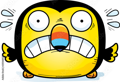 Scared Little Toucan
