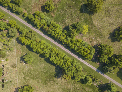 Aerial Drone Single Road With Trees Grass Field Forest Open Road