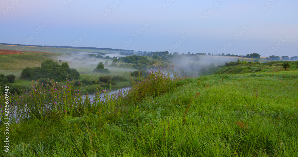 Foggy summer landscape with river and fields of ripe wheat.Haze over the full of fresh green grass pastures. Foggy summer landscape with river and fields of ripe wheat.Haze over the full of fresh green grass pastures.