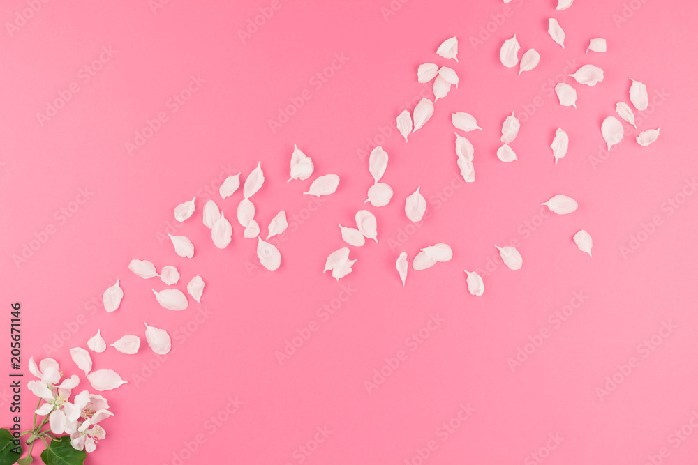 Flat lay of flying white petals Flat lay of flying white petals
