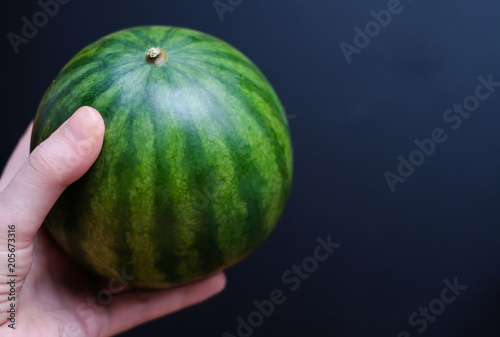 Woman's hand holding a green ripe mini watermelon on a dark background. Selective focus.