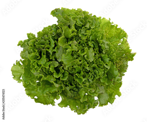 Top view of a head of green leaf lettuce on a white background.