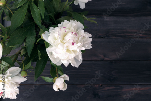 Fototapeta Naklejka Na Ścianę i Meble -  Top view of a bouquet of white peonies.