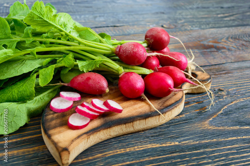 Summer harvested red radish. Growing organic vegetables. Large bunch of raw fresh juicy garden radish on dark boards ready to eat.