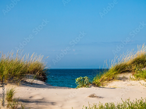 Dune with beachgrass in Tarifa, costa de la luz, Spain, Europe