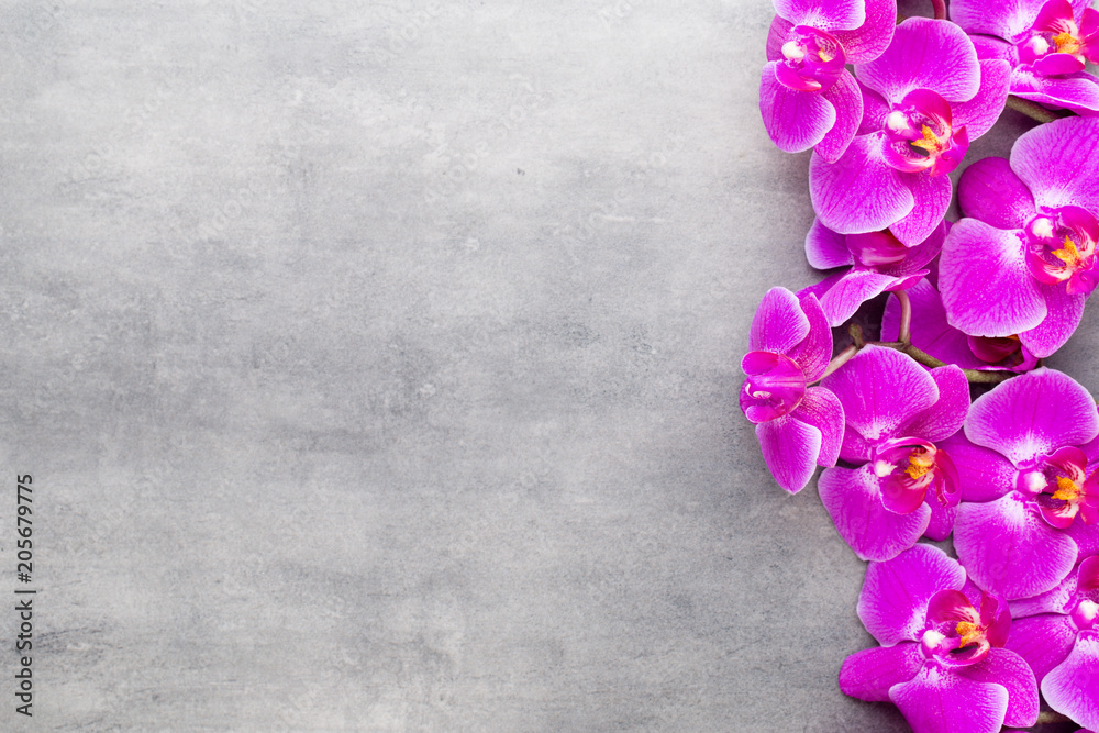 Fototapeta premium Beauty orchid on a gray background. Spa scene.