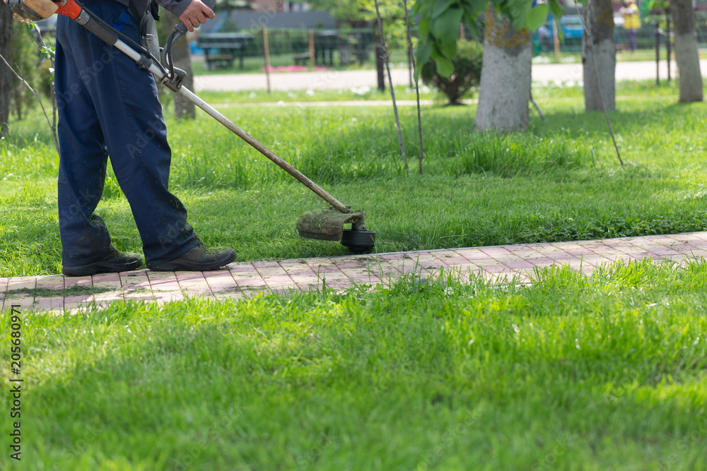 Man mows lawn mower, lawn in the Park. Manual lawn mower. Cleaning of