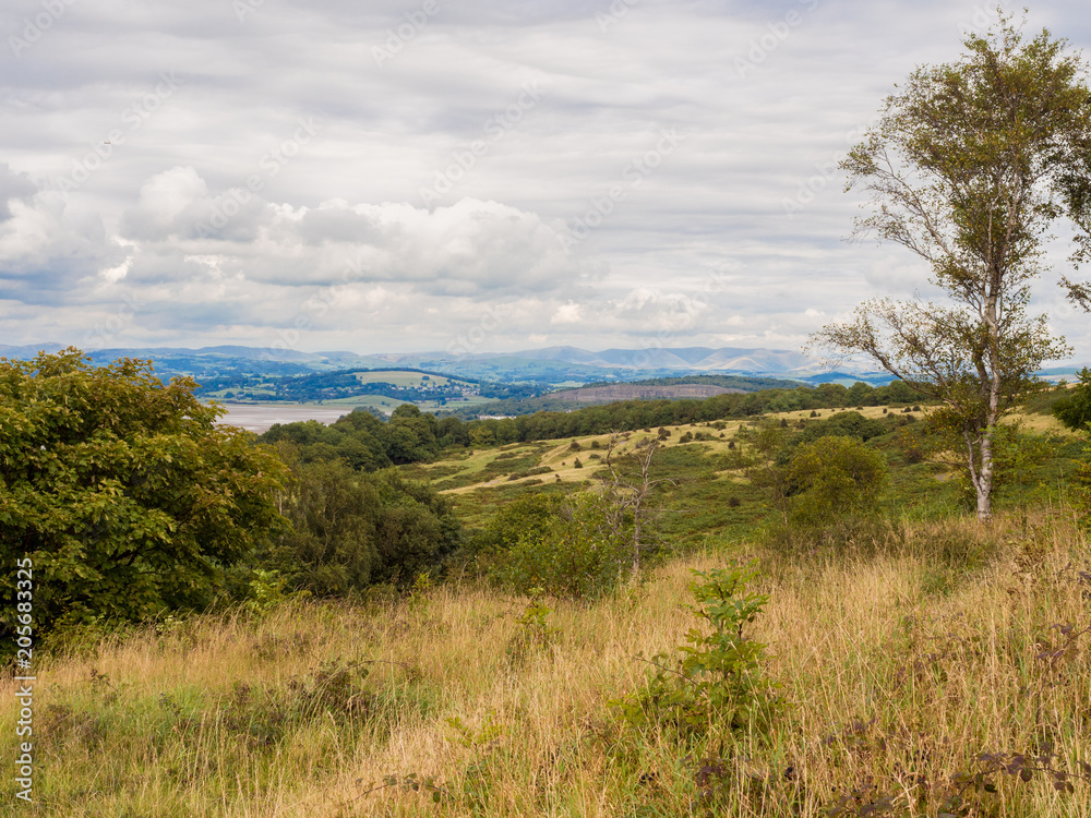 View from the top of Arnside Knot to the coastline at Arnside, Lancashire, UK