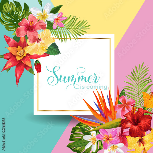 Hello Summer Tropic Design. Tropical Hibiskus Flowers Background for Poster, Sale Banner, Placard, Flyer. Floral Vintage Composition. Vector illustration