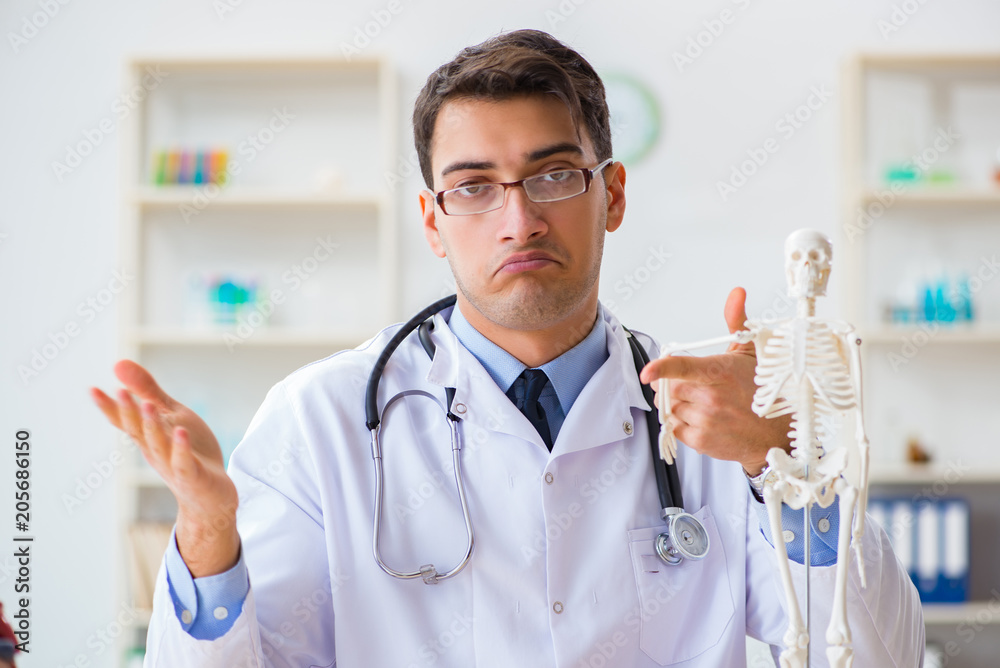Doctor student studying the bones of skeleton Doctor student studying the bones of skeleton