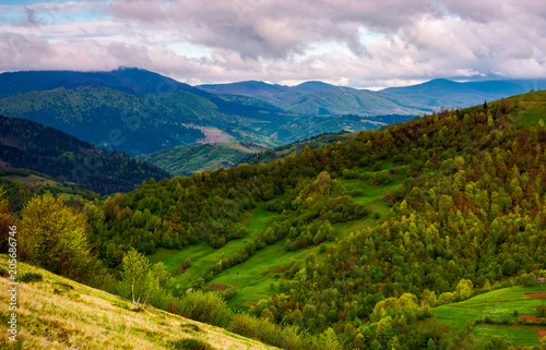beautiful rolling hills of Carpathian mountains. lovely summer landscape, bird eye view © Pellinni