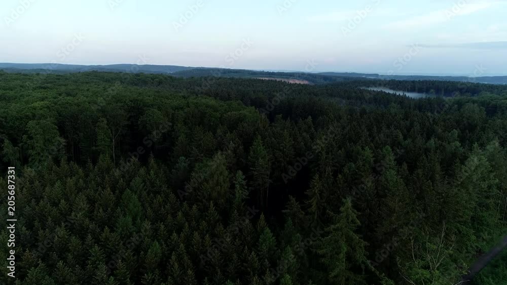 Dark moody aerial view of mystical woods at foggy twilight. Horror forest concept. 4K 60 FPS. Dark moody aerial view of mystical woods at foggy twilight. Horror forest concept. 4K 60 FPS.