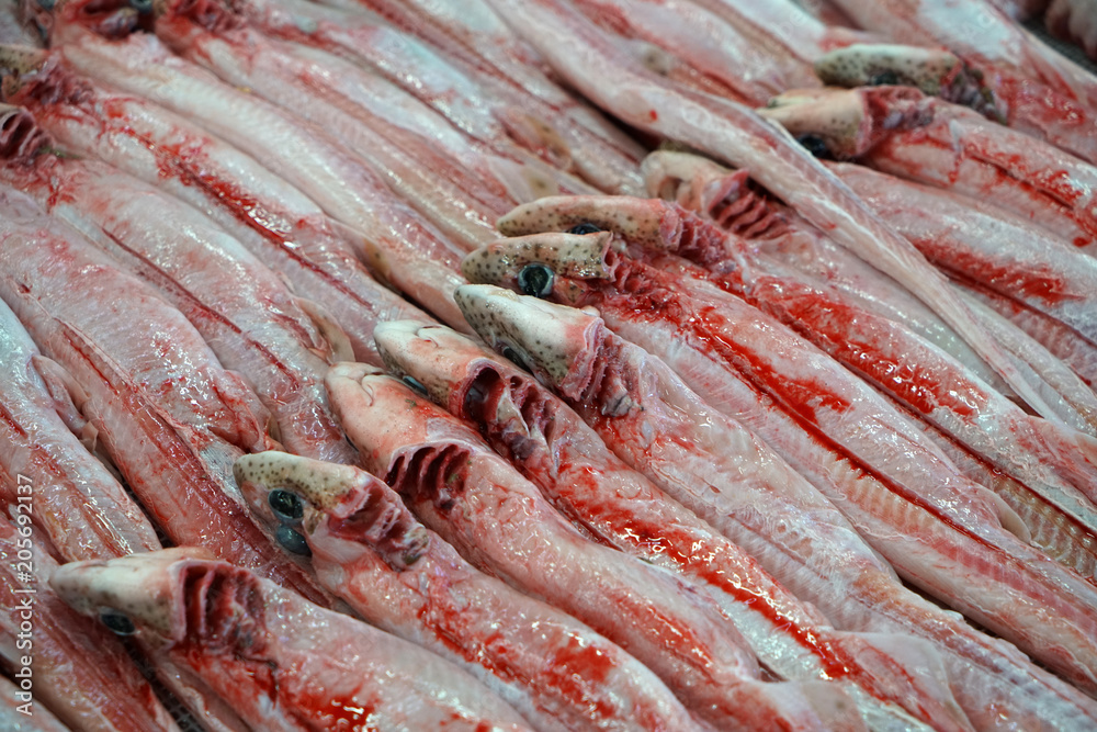 Fresh fish photographed on a fish market in Portugal
