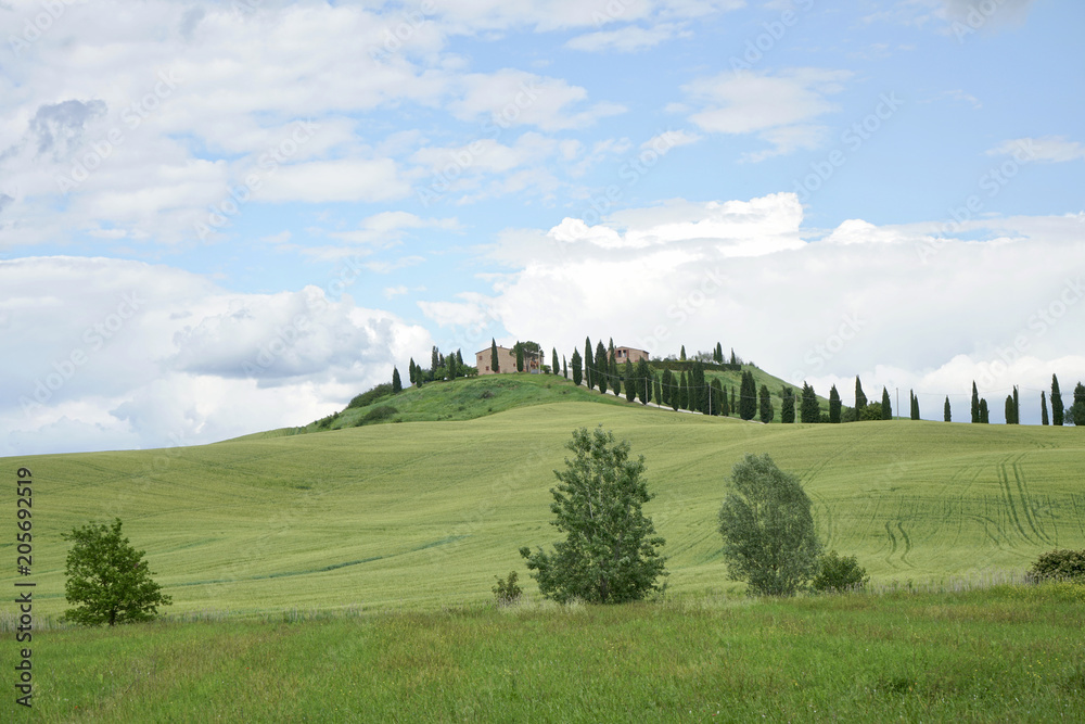 Obraz premium Crete Senesi near Asciano, Siena, Tuscan Italy, Magnificent landscape of the Tuscan countryside