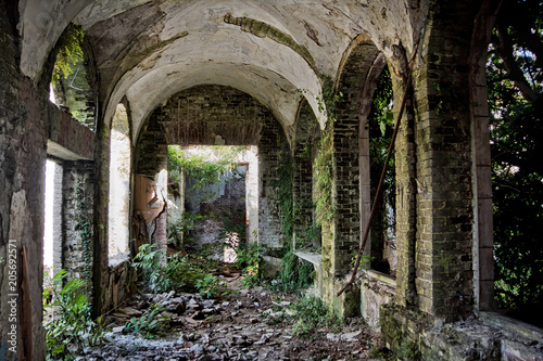 Ruined abandoned overgrown interior of abandoned mansion  Abkhazia  Georgia