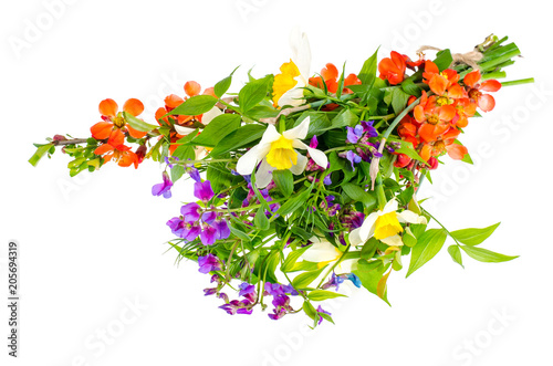 Bright spring flowers isolated on white background