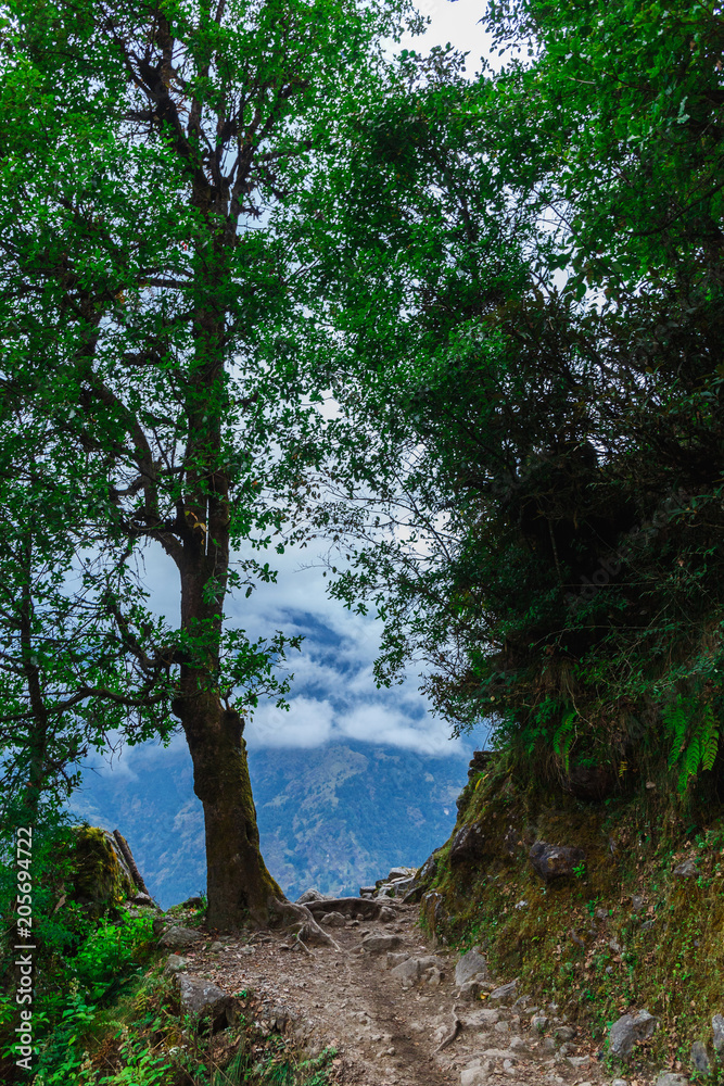 Nature of the Himalayas