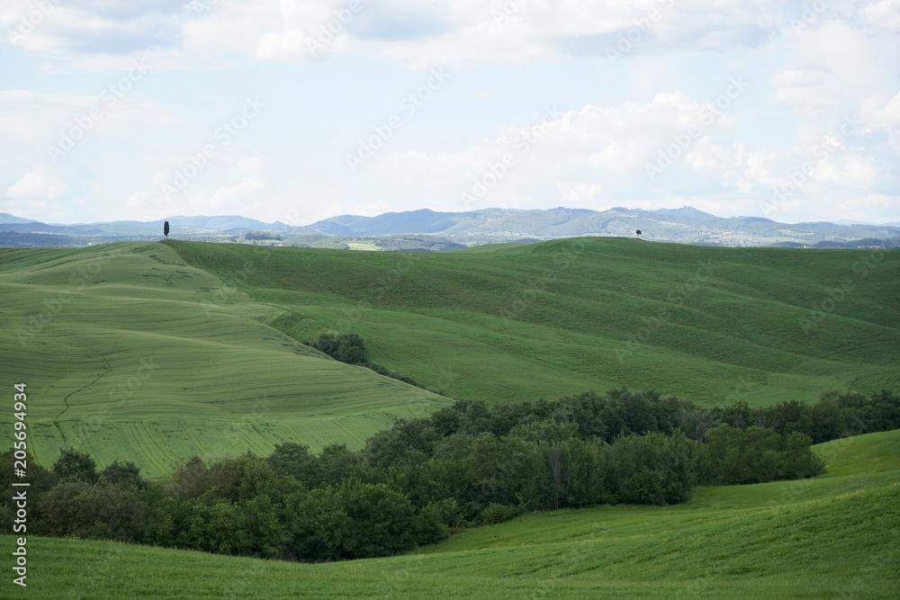 Crete Senesi near Asciano, Siena, Tuscan Italy, Magnificent landscape of the Tuscan countryside 