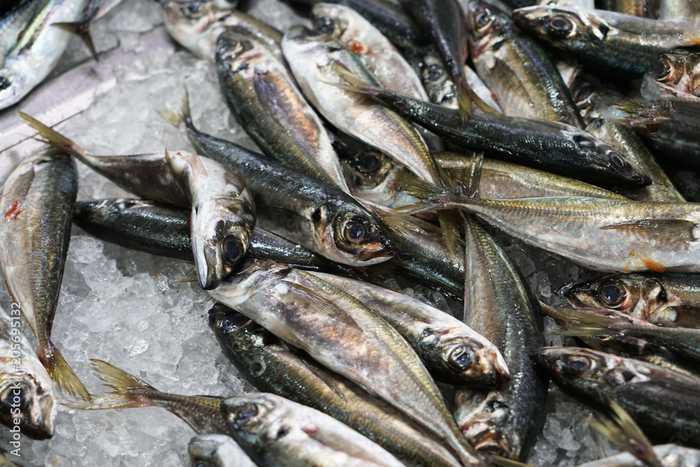 Fresh fish photographed on a fish market in Portugal
Fresh fish photographed on a fish market in Portugal