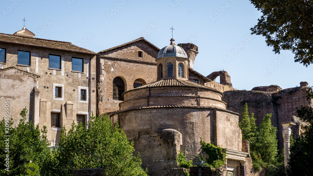 Buildings in the Roman Forum, Rome, Italy
